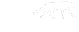 Wild Powersports